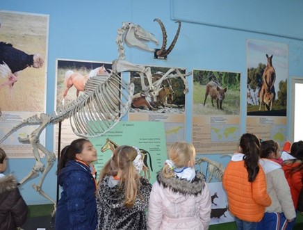 Natural History Museum