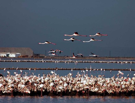 Izmir Bird Sanctuary