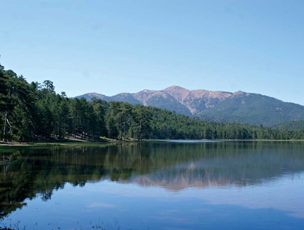 Karagöl Natural Park