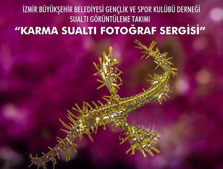 Karma Sualtı Fotoğraf Sergisi