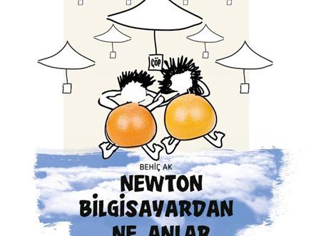 Newton Bilgisayardan Ne Anlar